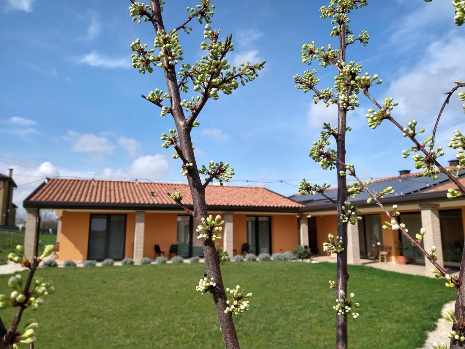 Agriturismo Verdecielo Padova Room photo